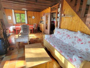 Chalet 10 pers au pied des pistes - St Michel de Chaillol - FR-1-393-39